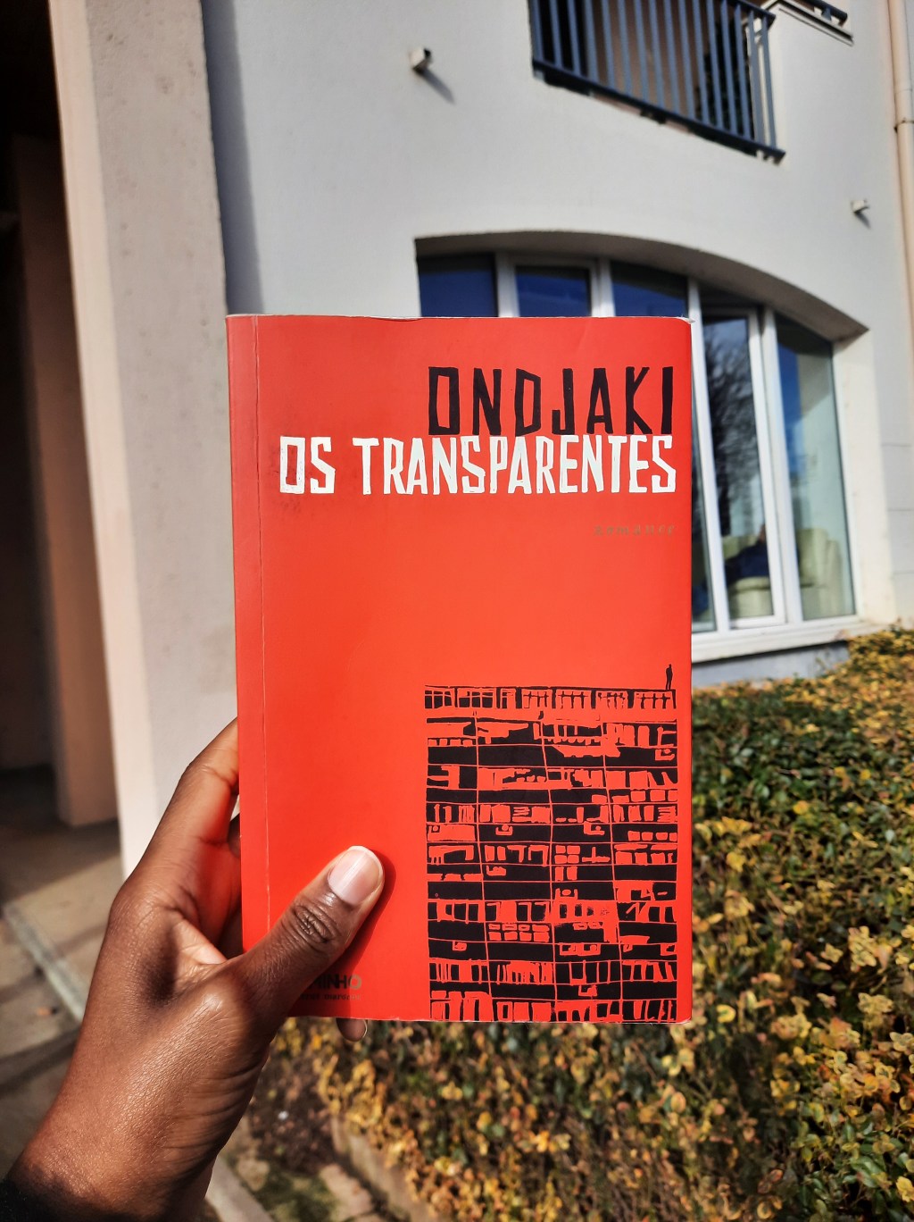 Black History Month – Je sors de ma zone de confort : Les Transparents d’Ondjaki